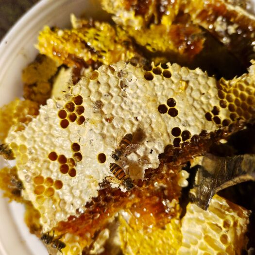 湖北秭归县自家养殖土蜂蜜，一瓶两斤。