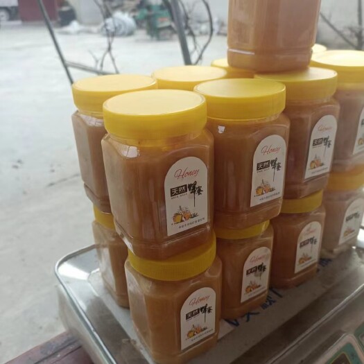 甘肃岷县土蜂蜜农家自己养殖百花土蜂蜜 塑料瓶装 年批发包邮支持一件代