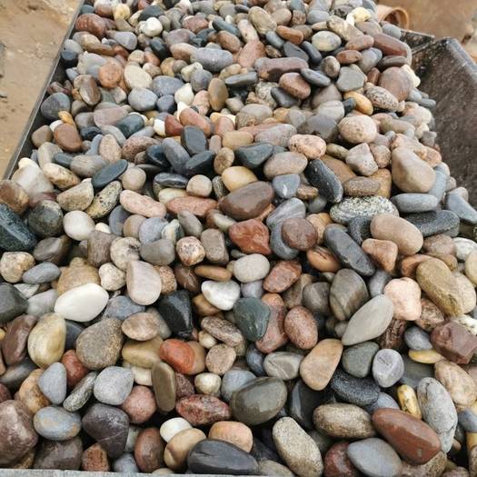 河北曲阳县批发天然鹅卵石大量出售河卵石大石头原石公园石装饰铺石料