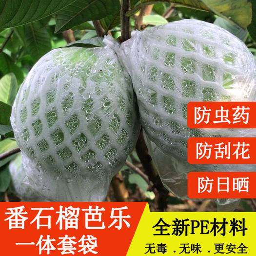 广西玉林种植套袋  水果袋套果树防虫防鸟保护网一体芭乐番石榴套袋专用