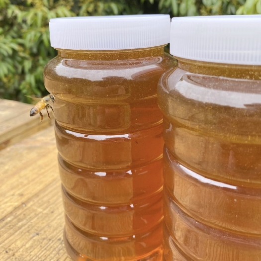河南长葛市蜂蜜 荔枝蜜蜂蜜天然野生蜂蜜农家自产荔枝龙眼百花结晶土蜂蜜
