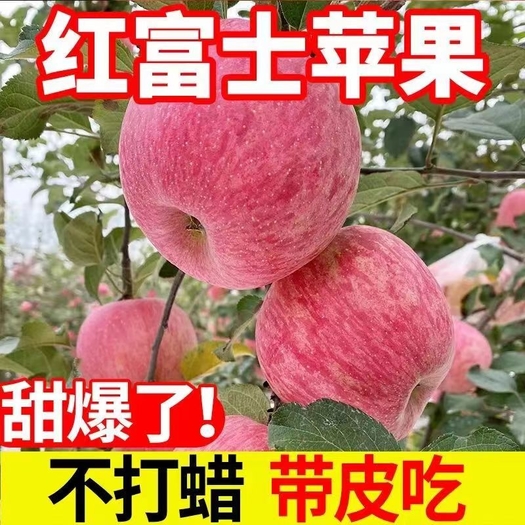 山东蒙阴县【红富士苹果】山东苹果产地 冷库红富士苹果